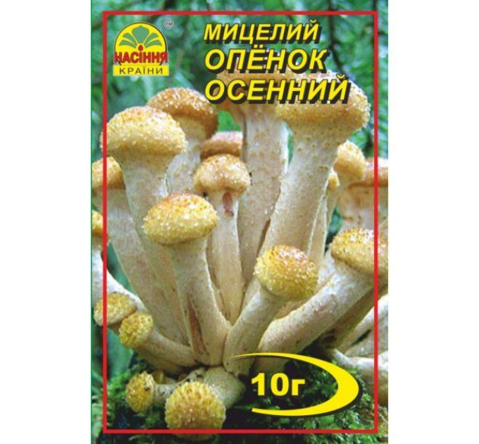 Мицелий гриба Опенок осенний, 10 гр