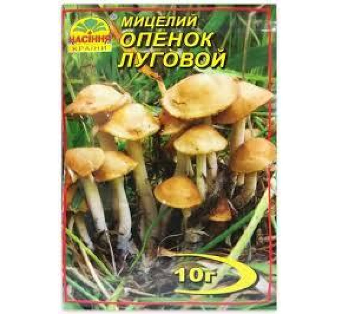 Мицелий гриба Опенок луговой, 10 гр
