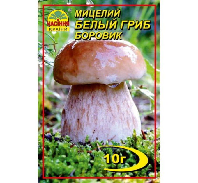 Мицелий белого гриба Боровика, 10 гр
