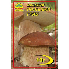 Мицелий гриба Польский, 10 гр