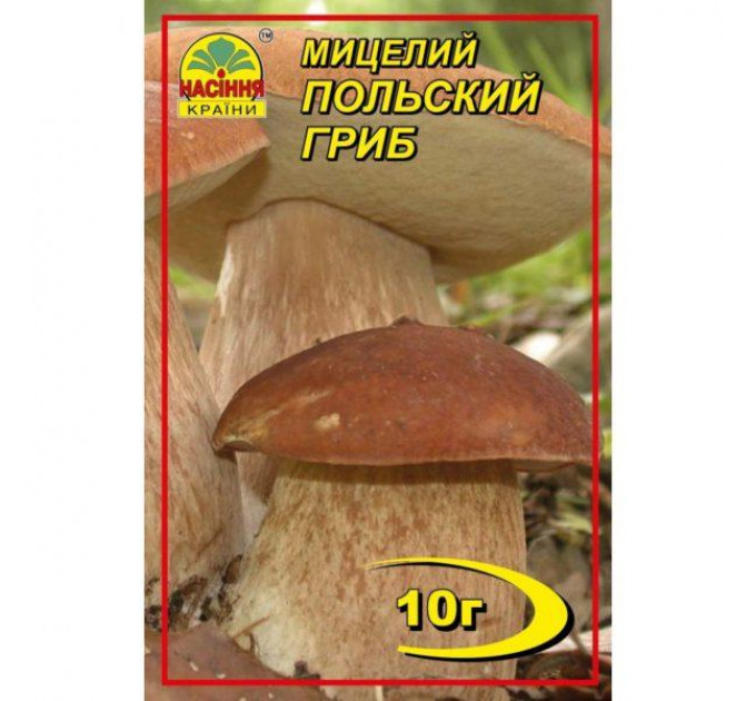 Мицелий гриба Польский, 10 гр