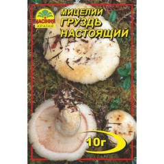 Мицелий гриба Груздь настоящий, 10 гр