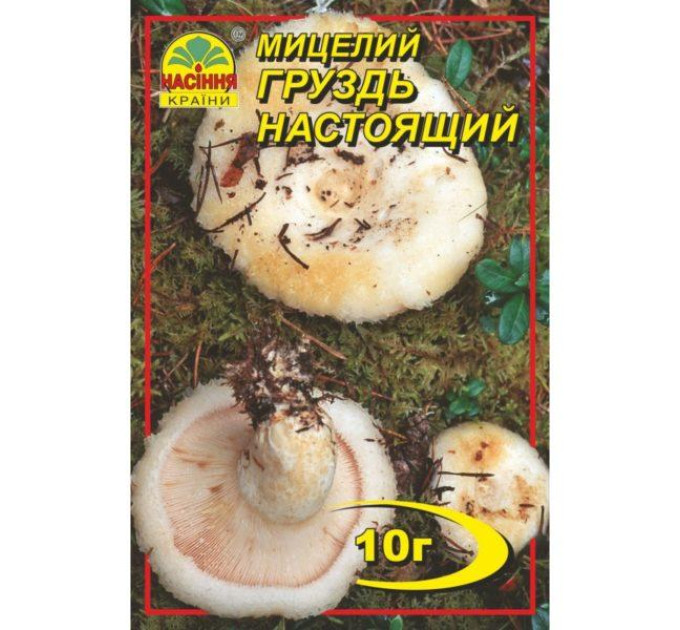 Мицелий гриба Груздь настоящий, 10 гр