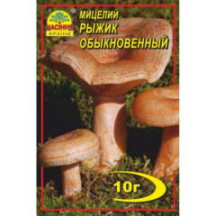 Мицелий гриба Рыжик, 10 гр