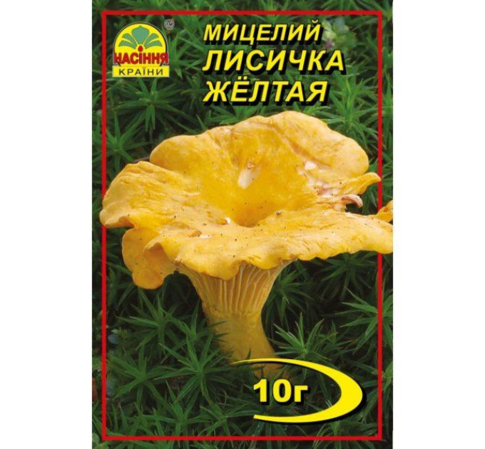 Мицелий гриба Лисички желтой , 10 гр