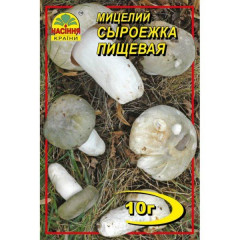 Мицелий гриба Сыроежка, 10 гр