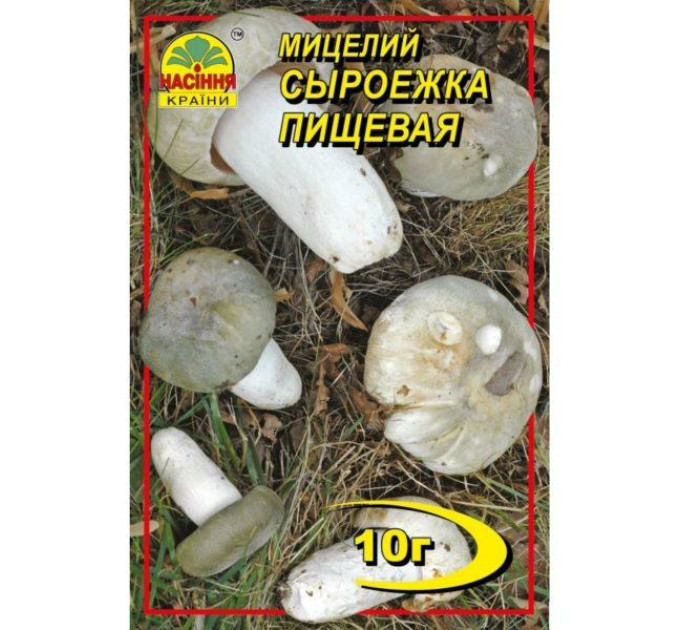 Мицелий гриба Сыроежка, 10 гр