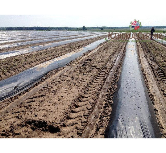Пленкоукладчик и грядообразователь для посадки ягодных и овощных культур