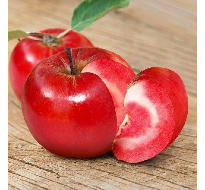 Яблуня сорт Джеромін