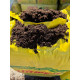 Верховой торф "Lith Peat" 3.5-4.5 pH 0-20 мм 250 л, Rėkyva