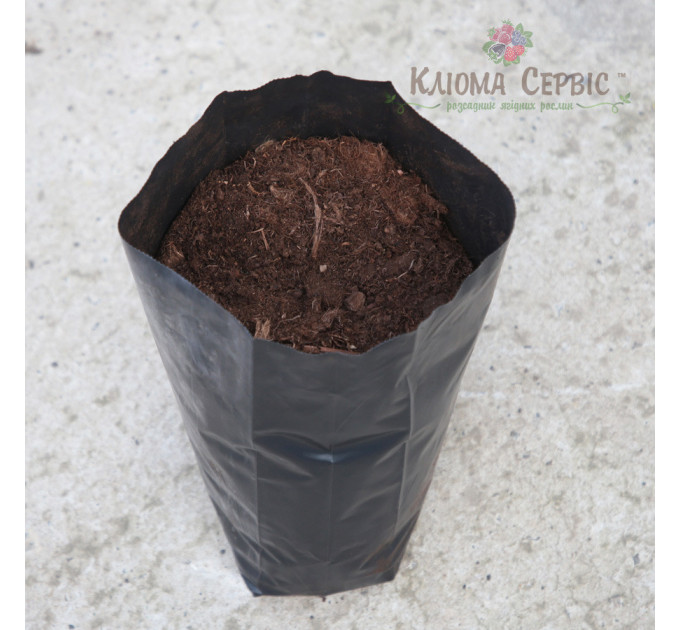 Пакет для рассады (1.4 л)20х15