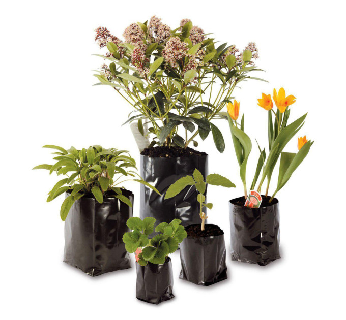 Пакет для рассады (1,6л) 10*30