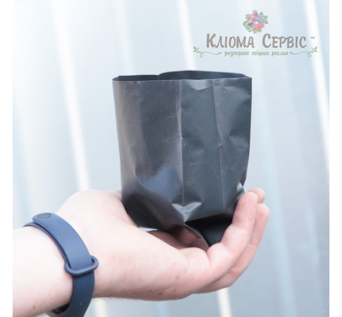 Пакет для рассады (1,6л) 12*25