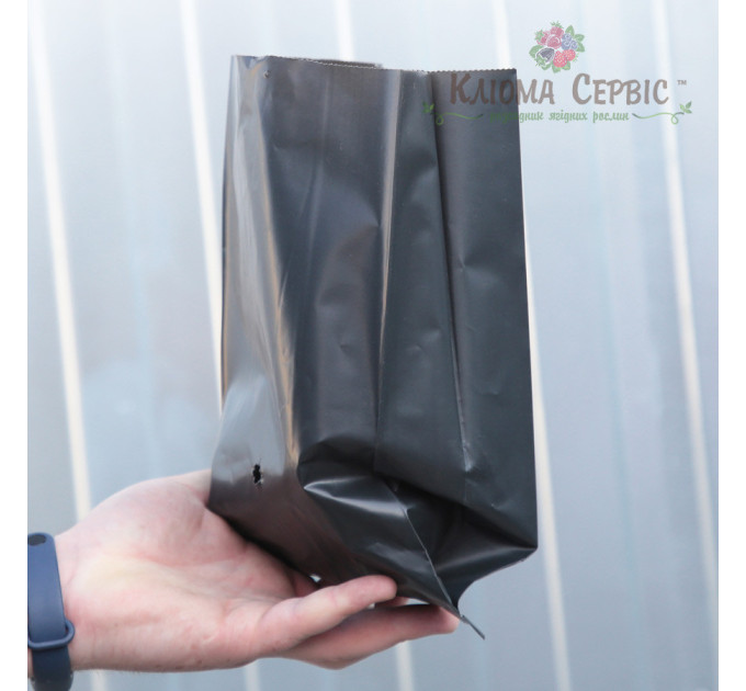 Пакет для рассады (1,6л) 10*30