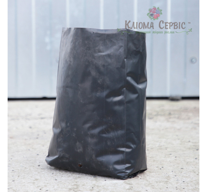 Пакет для саджанців і розсади розмір 20x35. 7л