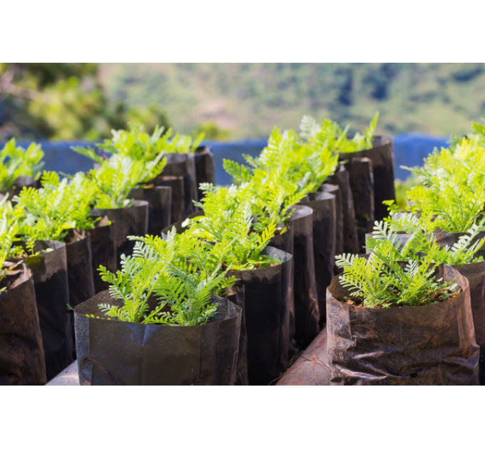 Пакет для рассады (0.5л) 8x14