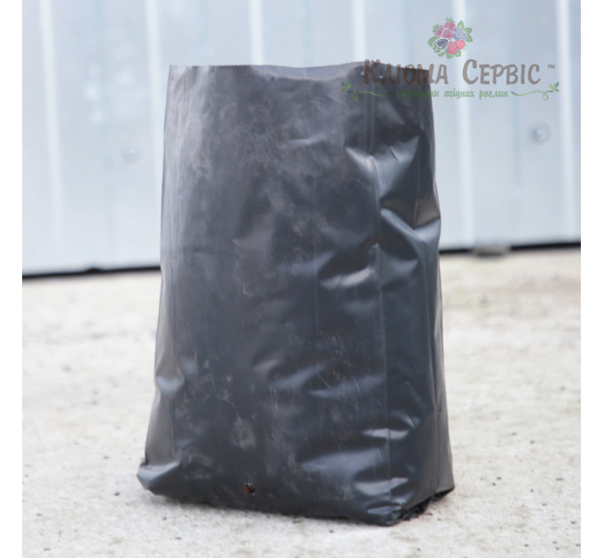 Пакет для рассады (18,0л) 30*40