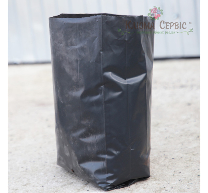 Пакет для саджанців і розсади розмір 40x75, 50 л