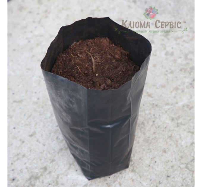 Пакет для саджанців і розсади розмір 40x75, 50 л