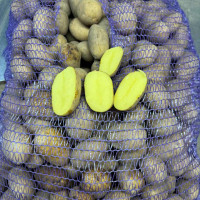 Семенной картофель Карелия, 90-110 дней 2 репродукция Семенной картофель Карелия, 90-110 дней 2 репродукция