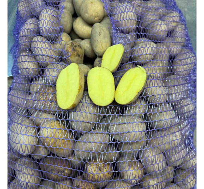 Семенной картофель Карелия, 90-110 дней 2 репродукция