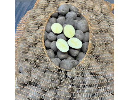 Семенной картофель Янки, 110-120 дней 2 репродукция