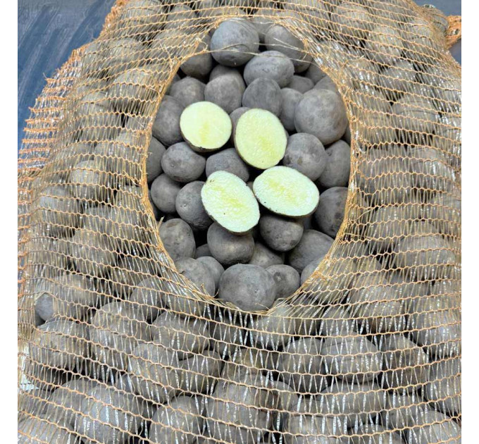 Семенной картофель Янки, 110-120 дней 2 репродукция