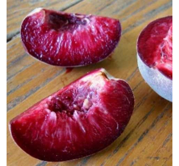 Саженцы персика сорт Эритрокарпа, подвой жердель