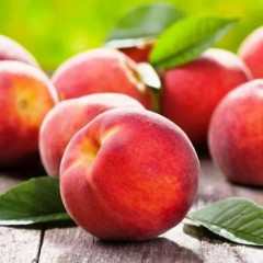 Саженцы персика сорт Инка, подвой жердель