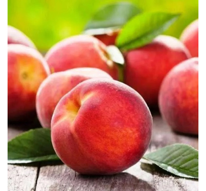 Саджанці персика сорт Інка, підщепа жердель