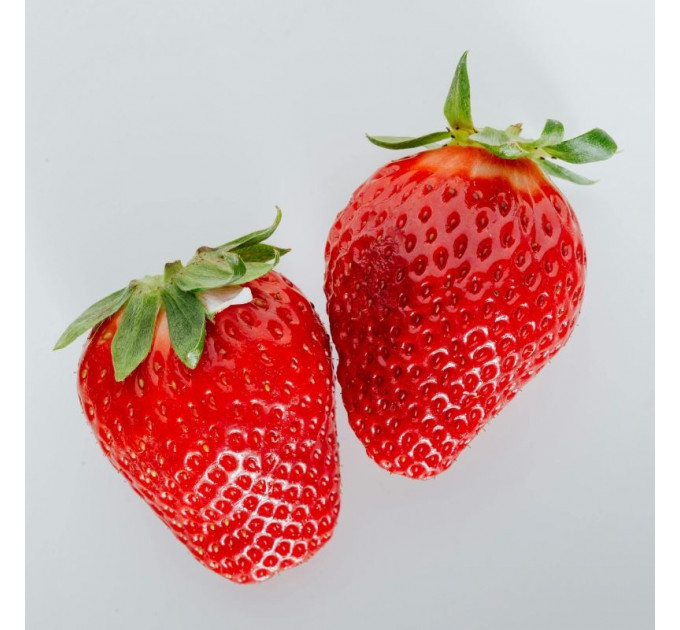 Полуниця сорт Amarant Niwa в касетах, 84 комірок