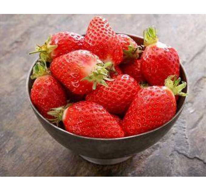 Саженцы клубники сорт Эверли, фриго класс А