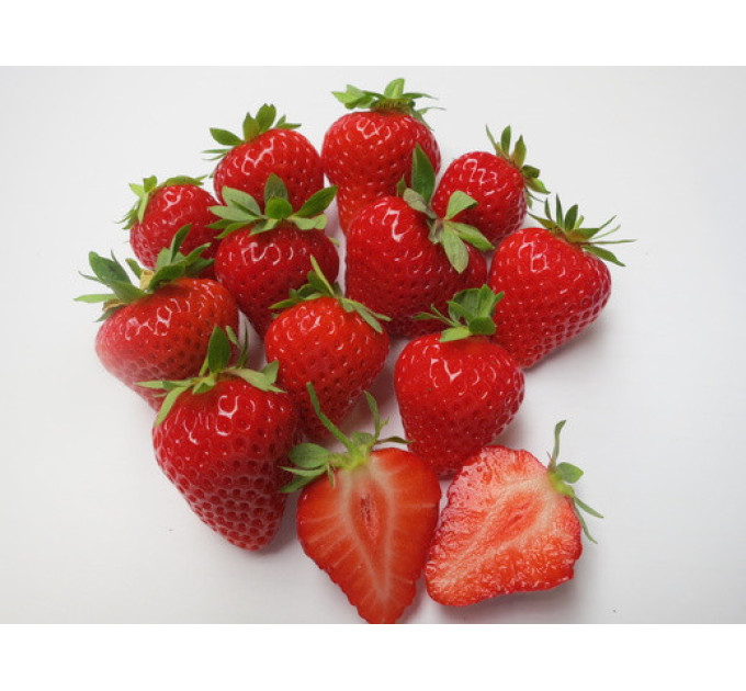 Саженцы клубники сорт Гармония, класс А