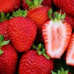 Рассада фриго клубники "Сан Андреас", класc B (ремонтантная)