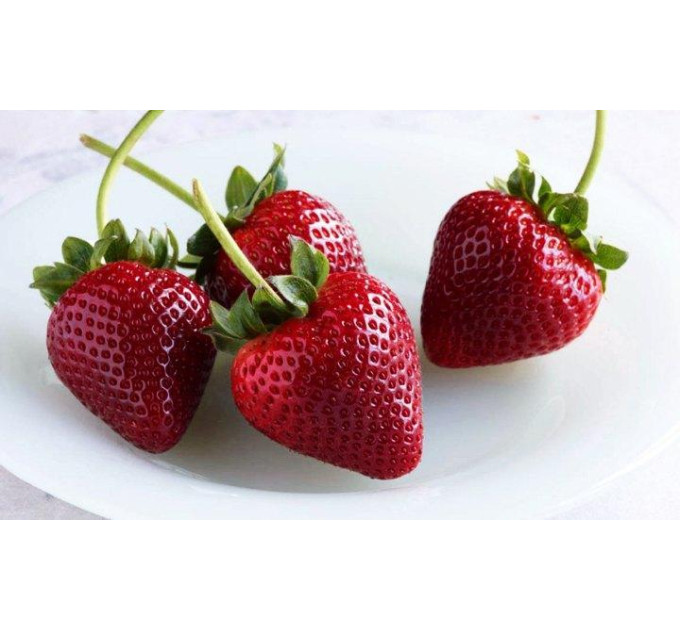 Полуниця "Кабрилло" в касетах, 45 комірки