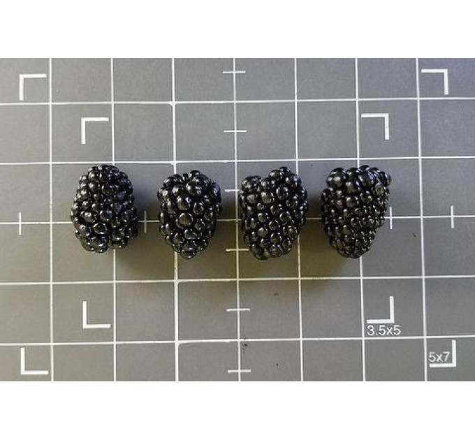 Ожина сорт Кеддо 1 річна P9