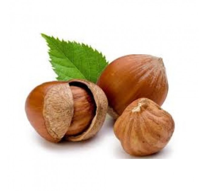 Фундук сорт Дар Павленко