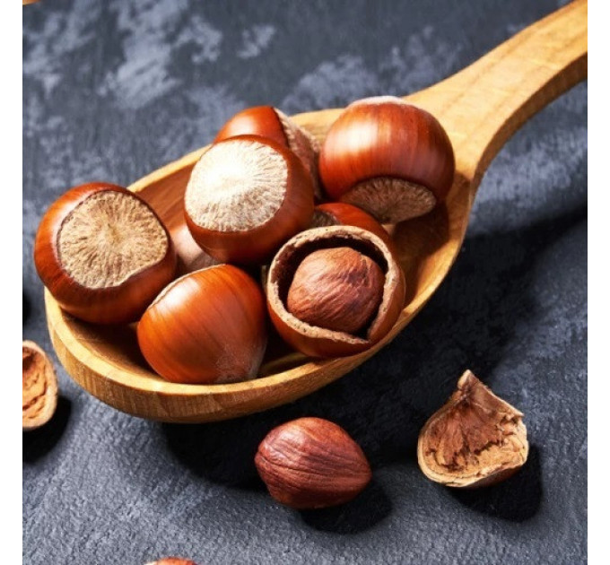 Фундук сорт Грандиозный