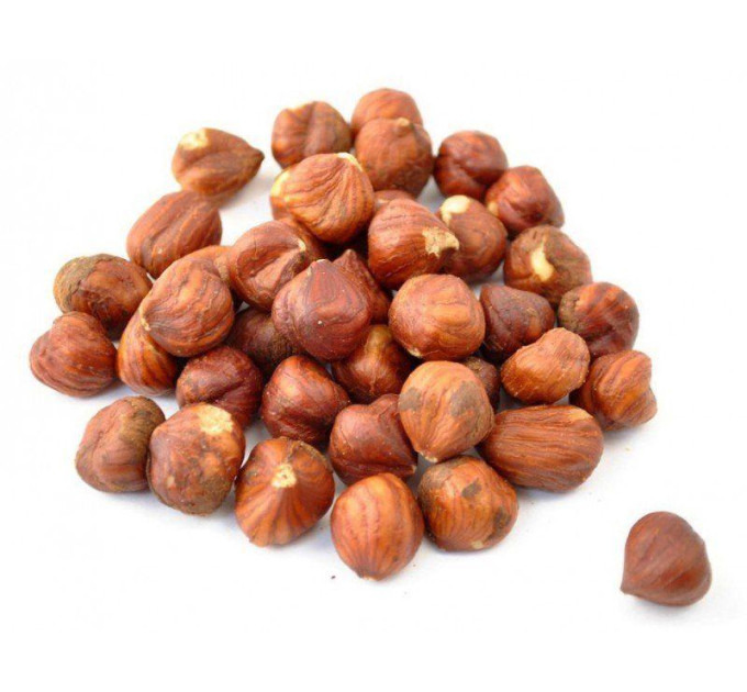 Фундук сорт Тонда романа, горшок 1.5 л