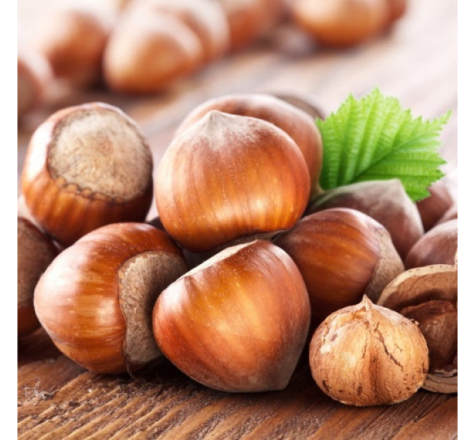 Фундук сорт Барселонський 2 річний, конт. 2 л