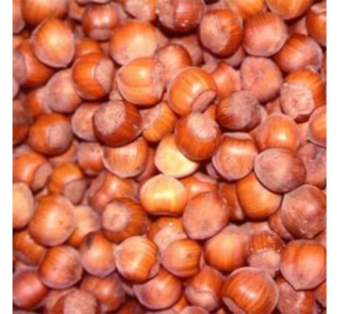 Фундук сорт Тонда Ді Джифони, контейнер 1.5 л