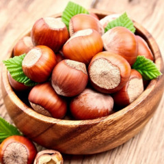 Саженцы фундука сорт Шедевр