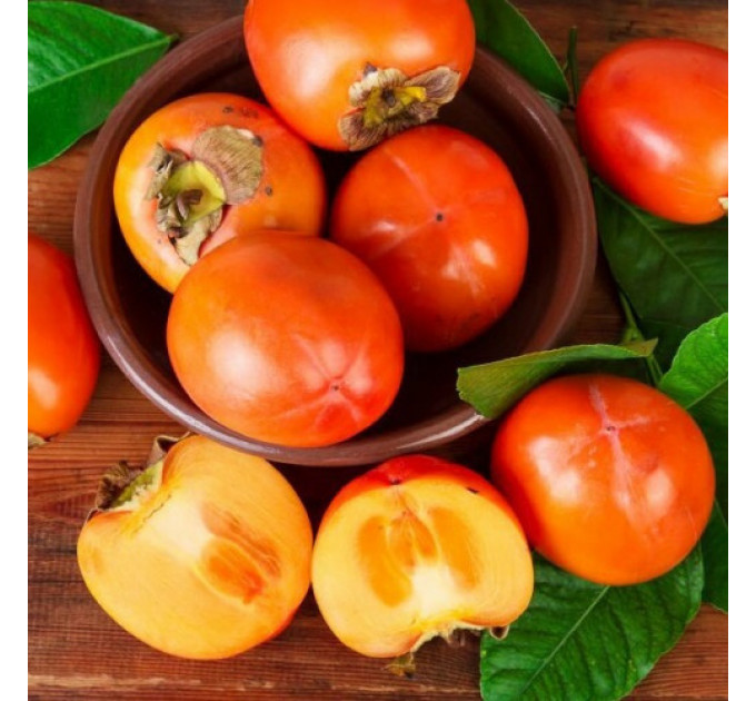 Саженцы хурмы Дар Софиевки 2 летние, конт. 2 л