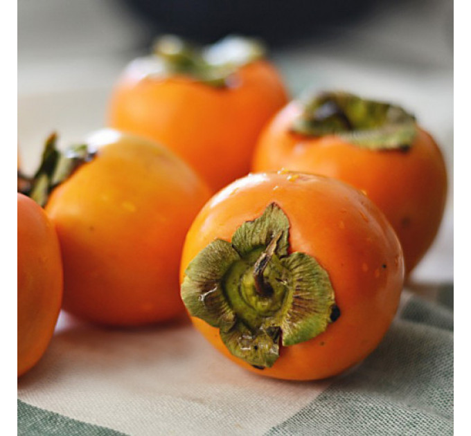 Саженцы хурмы сорт Прок 2 летние, конт. 2 л