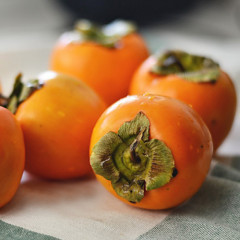 Саженцы хурмы сорт Прок, 2 летняя