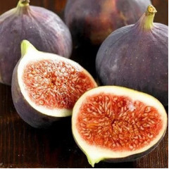 Саженцы инжира сорт Руж де Бордо 2 летние, конт. 5 л