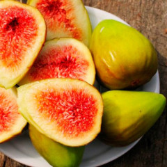 Саженцы инжира сорт Далматский 2 летние, конт. 5 л