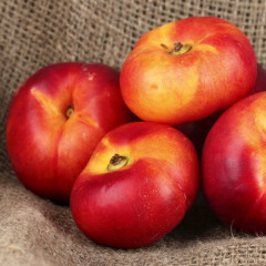 Саженцы нектарина инжирного сорт Месембрина, подвой маньчжурский персик