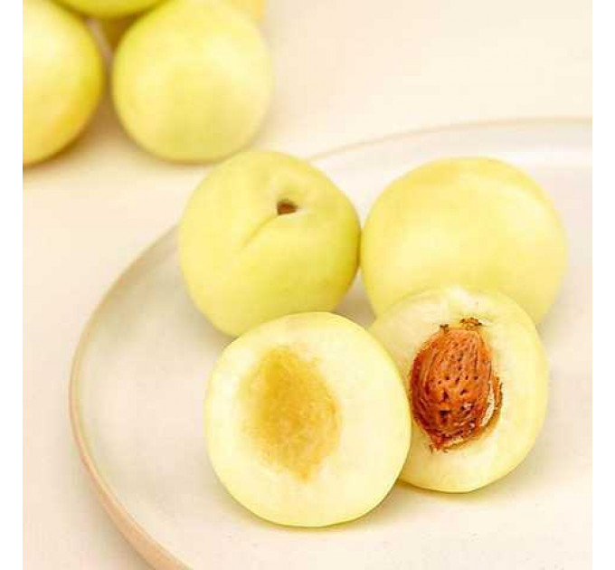 Нектарин Белый (White nectarine)