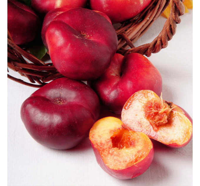 Саджанці нектарина сорт Концеттіна, 2 роки